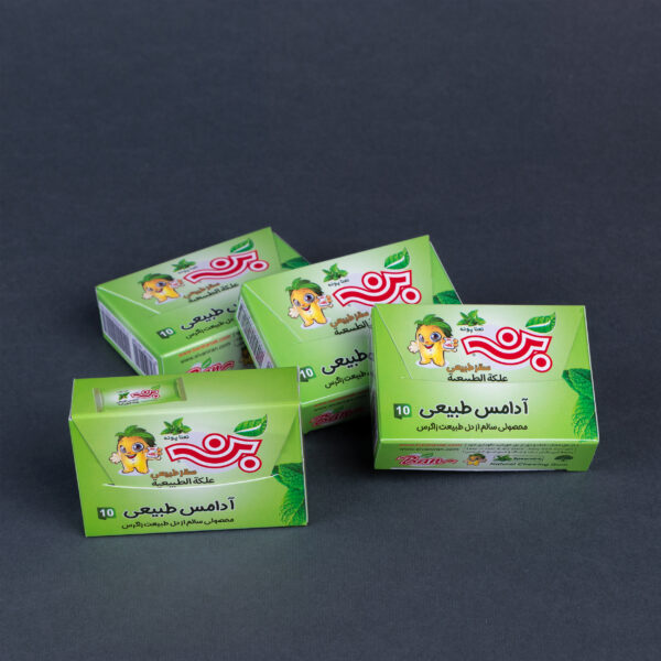 علكة بَن الطبيعية- بنكهة النعناع البري - 4 علب کرتونیة في کل منها 10 أکیاس العلك